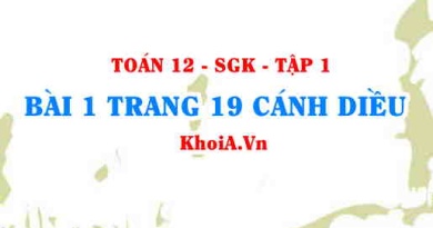 Bài 1 trang 19 Toán 12 tập 1 Cánh Diều